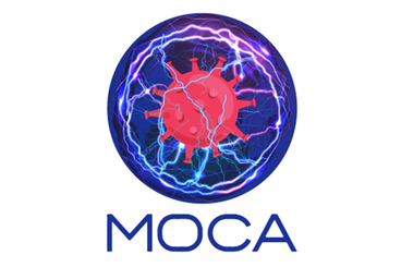 Plasma freddo per la decontaminazione di alimenti e materiali e oggetti a contatto con gli alimenti (MOCA)