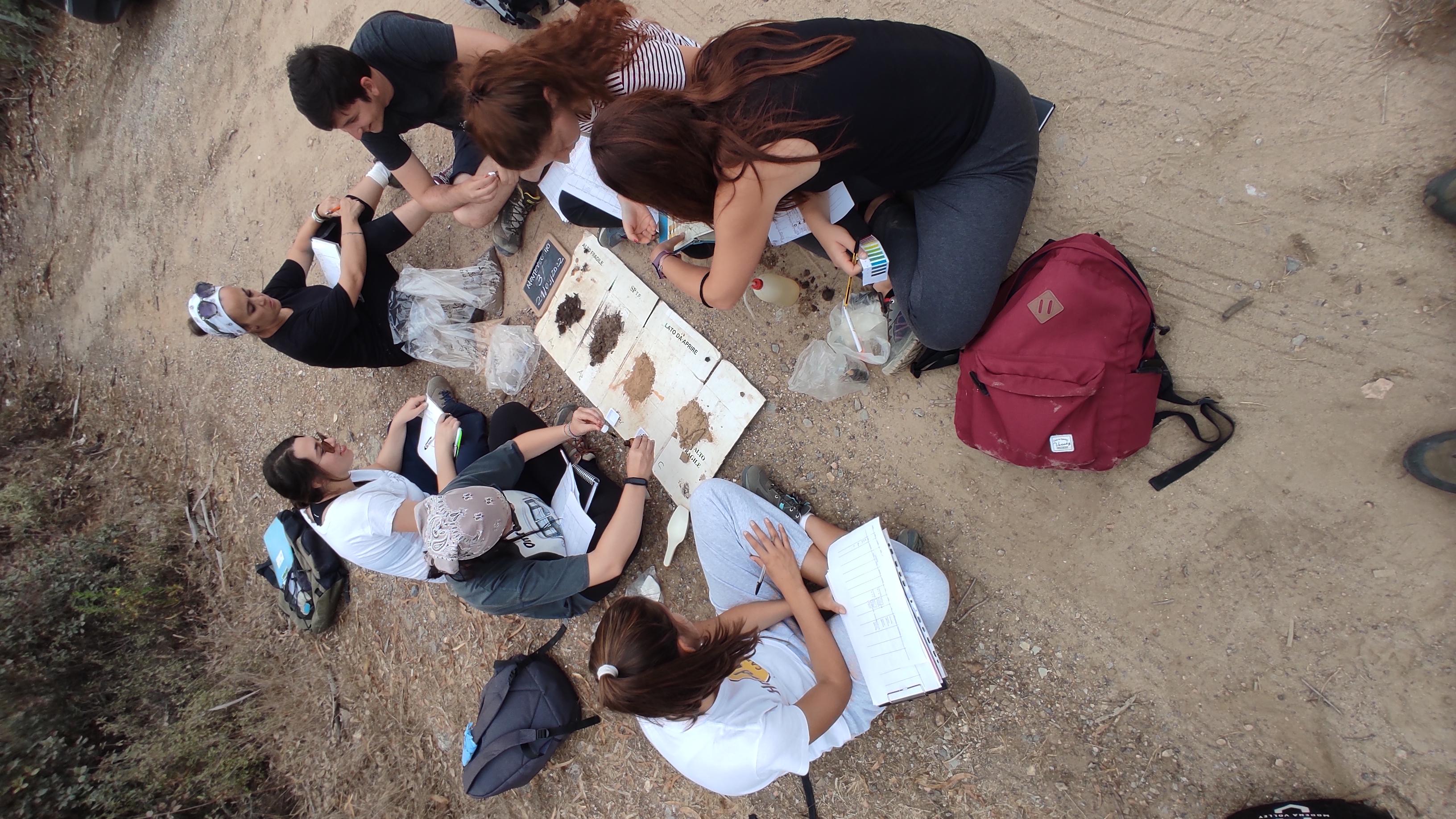 Descrizione degli orizzonti del profilo