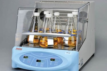 Picture of Orbital shaker Forma Scientific (ThermoFisher)