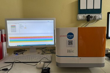 Picture of WES (ProteinSimple)