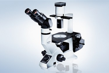 Immagine del microscopio ottico CKX41 (Olympus)