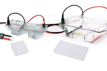 Immagine degli apparati Horizontal Electrophoresis Systems (Bio-Rad)