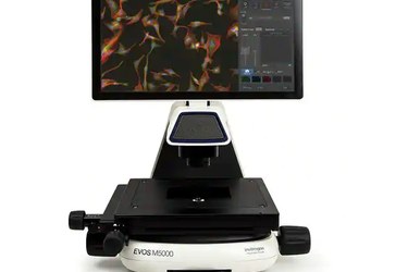 Immagine della macchina microscopio a fluorescenza EVOS M5000 (Agilent)