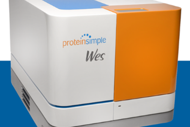 Immagine della piattaforma WES (ProteinSimple)