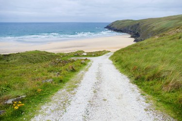Image of a coastline with grass in Cornwall