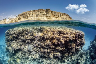 A rock and coral under water in Sharm el Sheikh, Egypt, Red Sea