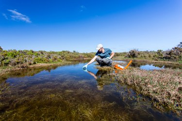 A person in a field with a small pond