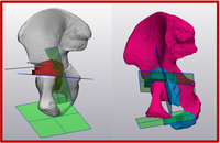 Screenshots from segmentation software UI