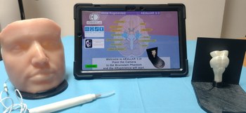 Aeducar augmented reality test: facial nerves