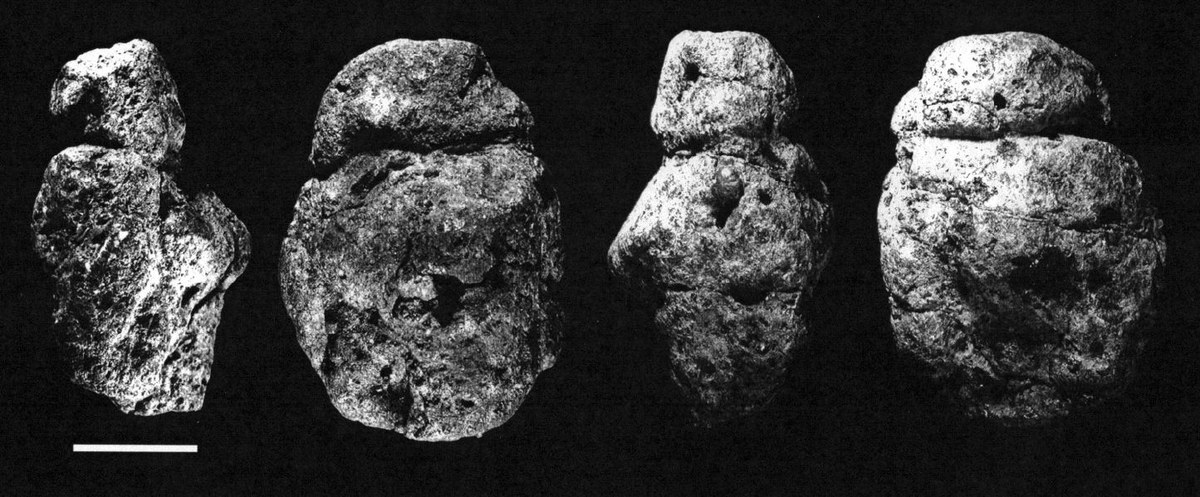 Several views of the Venus from the Berekhat Ram site, in the Golan Heights region of Israel, excavated by Goren-Inbar in 1981 and 1982. Dated from 500,000.233,000 yars old