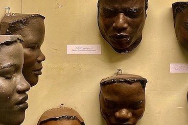 copies of face plasters by Lidio Cipriani at the Anthropology Museums of University of Bologna